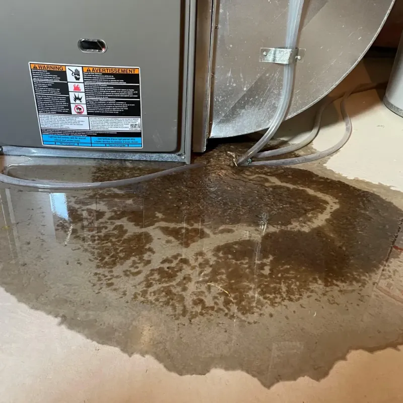 Appliance Leak Cleanup in South Bend, IN